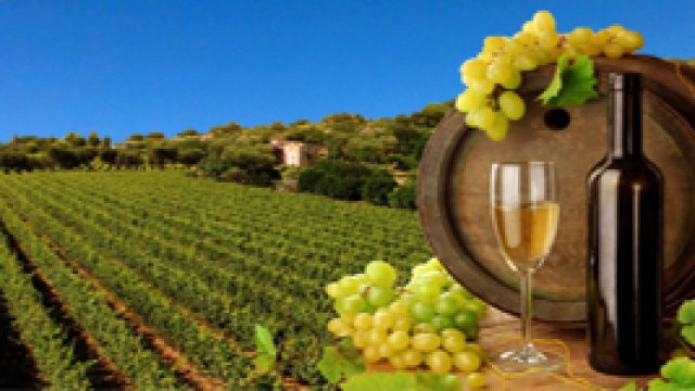 Δρόμοι του κρασιού της Μακεδονίας